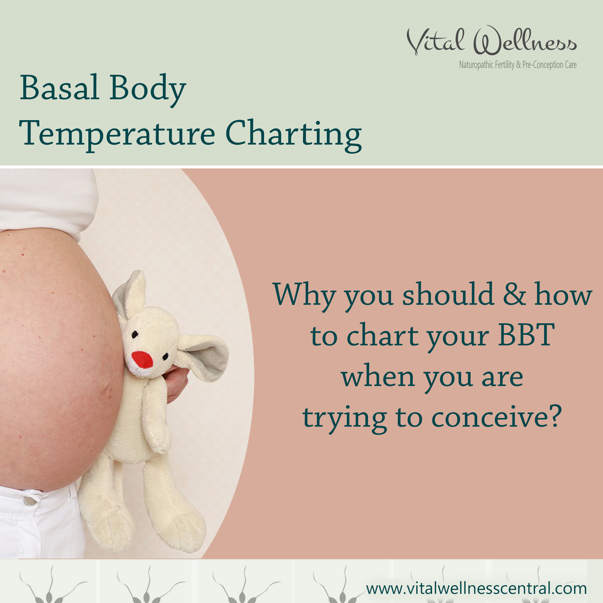 How to chart your BBT | Vital Wellness Central; transforming your ...
